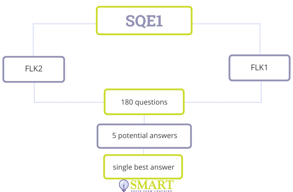 SQE1 Single Best Answer